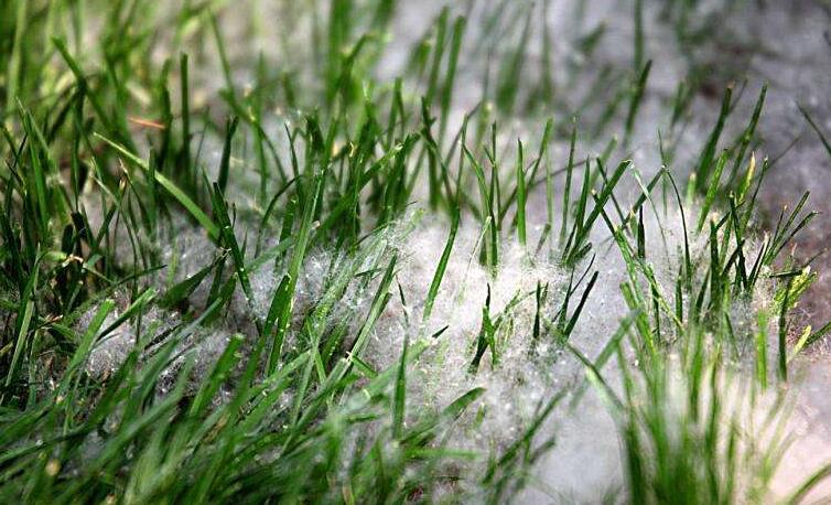 冬季將至，如何除去人造草皮中的冰雪？鉆石地為您支招